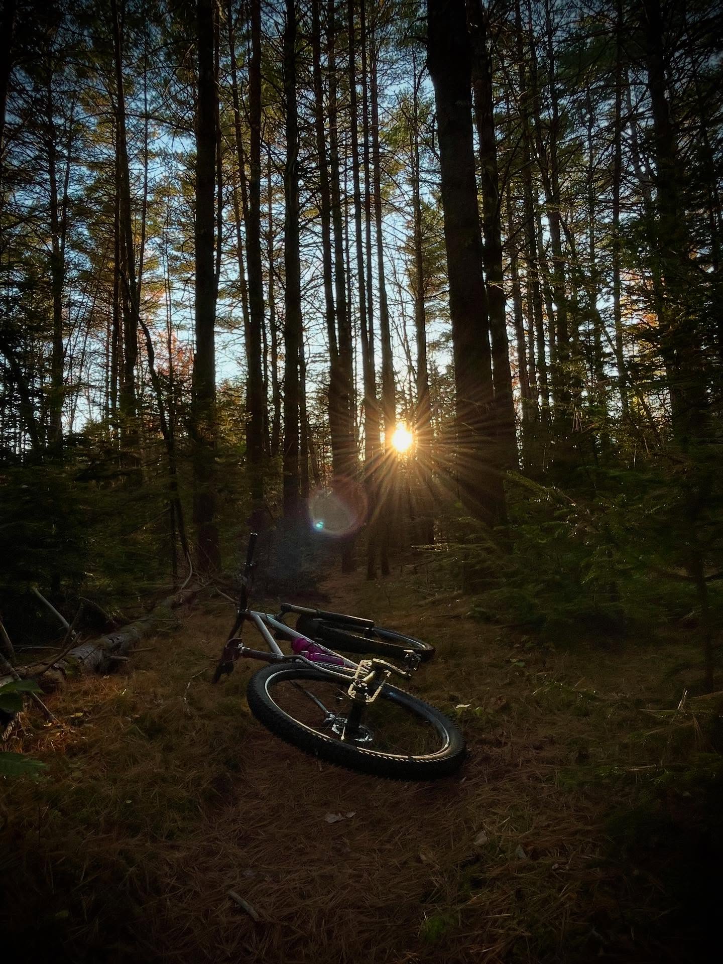 FRIDAY PSA //
- 
Ride singlespeeds.  Drink coffee.  Listen to punk rock.  As you were..