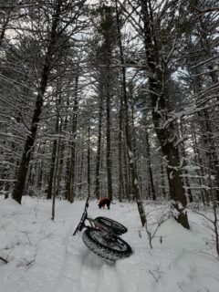 First Tracks ::
-
Took this MLK Day to head out on local singletrack for some fat biking.  No one had been through the system with the snow dawg yet so Poka and I were making first tracks and breaking trail.  Something I haven’t had to do in quite a while since the local trail gnomes got the groomer.  This Martin Luther King Jr. quote seems appropriate on many levels: 
-
“If you can’t fly, then run; if you can’t run, then walk; if you can’t walk, then crawl, but whatever you do, you have to keep moving forward.”